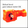 Helical bevel gear motor
