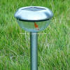 Solar Outdoor Lamps