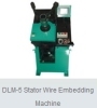 Stator Coil Inserting Machine DLM-5