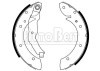 Brake Shoe