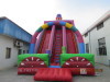 water slides for backyard