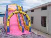 big inflatable water slides