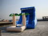 commercial inflatable water slide