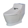 intelligent integrated toilet seat