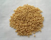 Textured Soy Protein-YL01