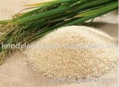 Vietnamese Faragrant Jasmine Rice 5%Broken