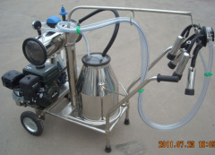 single bucket gasoline milking machine for cow