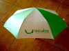 folding umbrella