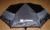 folding umbrella