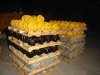 High quality Track Roller bottom price for all kind of excavator and dozer
