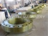 Forged flange\FOrging flange