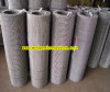 crimped wire mesh panel