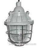 40W Explosion-proof lvd induction lighting fixture