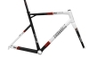 BMC Race Machine RM01 2011 Frameset