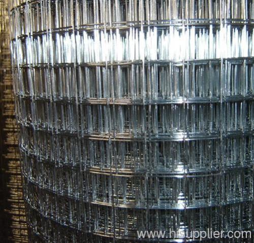 Welded Wire Mesh