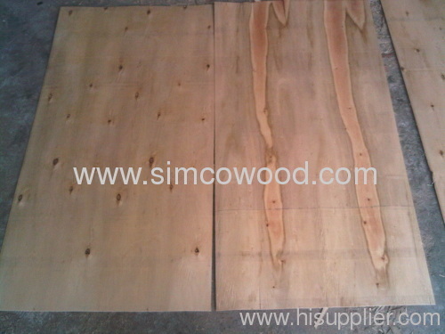 Eucalyptus Core Veneer