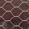 hexagonal wire mesh