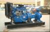Diesel water pump