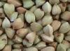 Hulled Buckwheat Kernel