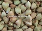 Hulled Buckwheat Kernel