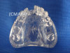 Wholesale - T-KM26B6 partial anodontia model , transparent dental model,dental model tooth model, oral ,Training