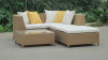 2012 Hot Rattan Garden Sofa sets