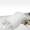 2012 Hot 100% Pure Silk Comforters