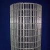 galvanized welded wire mesh