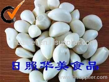 pure white fresh garlic