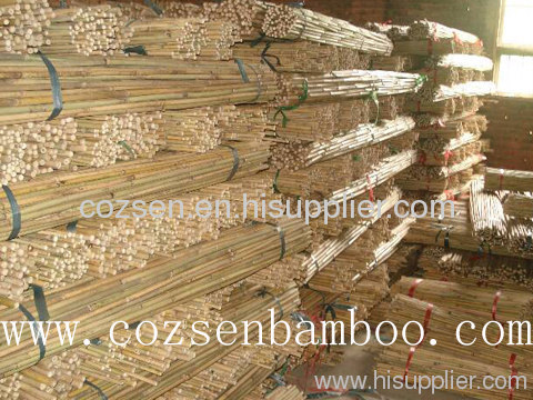 Natural bamboo cane
