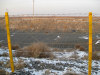 boundary fence