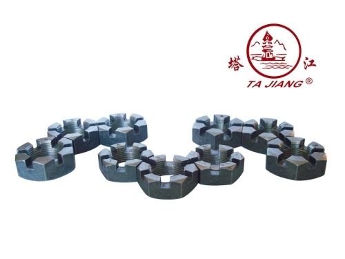 Thin Slotted Nuts DIN937