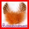 Orange Guinea Fowl Feather Hair Extensions Wholesale