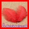 Red Plumes Big Flake Ostrich Feather Hair Extensions Wholesale