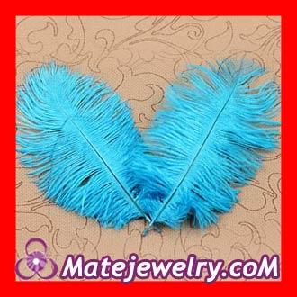 Cyan Plumes Big Flake Ostrich Feather Hair Extensions Wholesale