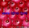 fresh red onion