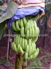 banana paper bags