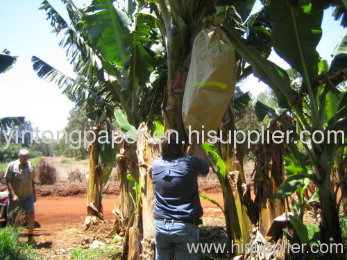 800*1400mm paper fruit bag for banana