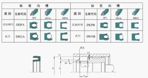 Spring Energized PTFE Seals->DEPA