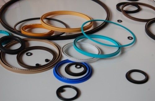 Rotary seal--GNS