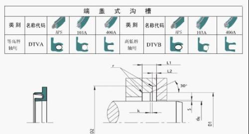 spring energized seals--DTVA