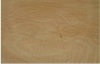 Yellow Wood Grain sandstone 02-1