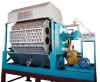 China rotary egg tray pulp molding machine