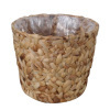 water hyacinth planter