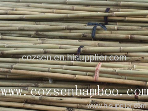 Nature Dry Straight Bamboo Poles