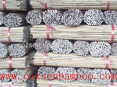 buy bamboo poles