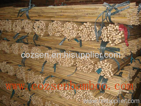 natural agricultural bamboo canes
