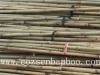 bamboo cane suppliers