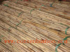 bamboo pole suppliers