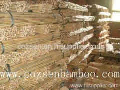 cane and bamboo